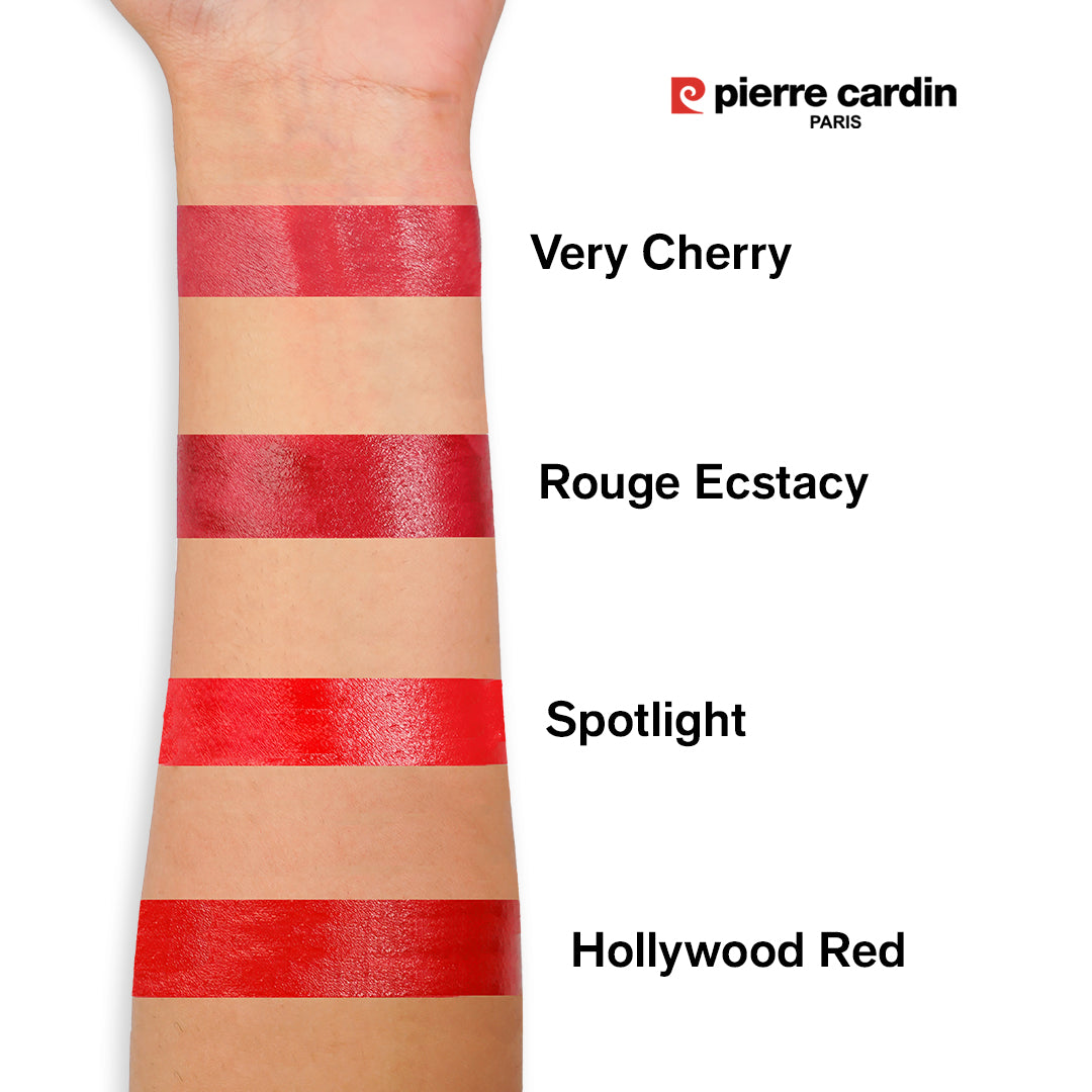 Pierre Cardin Paris Lip Master Liquid Lipstick