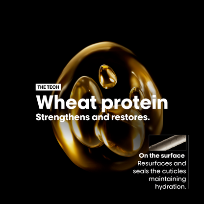 L'Oreal Professionnel Serie Expert Absolute Repair Mask 250ml - For Dry & Damaged Hair